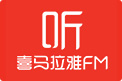 澳星淺淡海外經